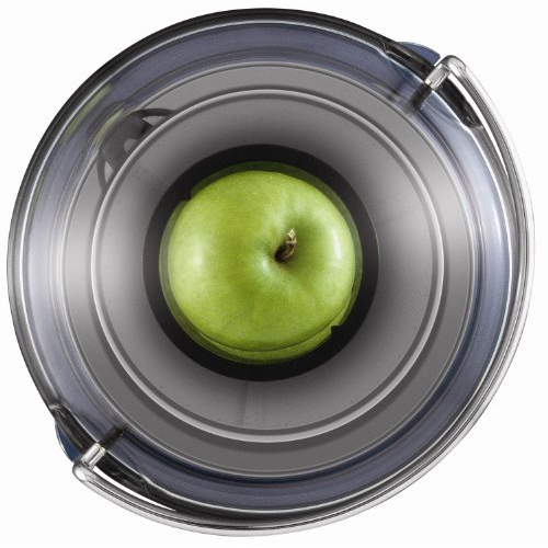 Breville BJE200XL Compact Juice Extractor BrandsMart USA