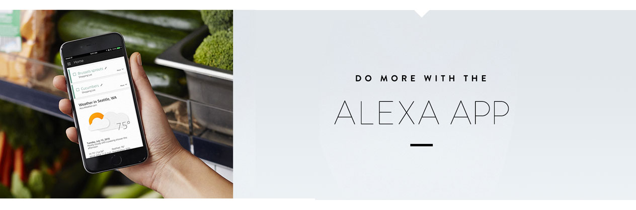 Do More with the Alexa App Do More with the Alexa App