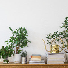 Collection image for: Home Decor
