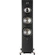 Floor Standing Speakers