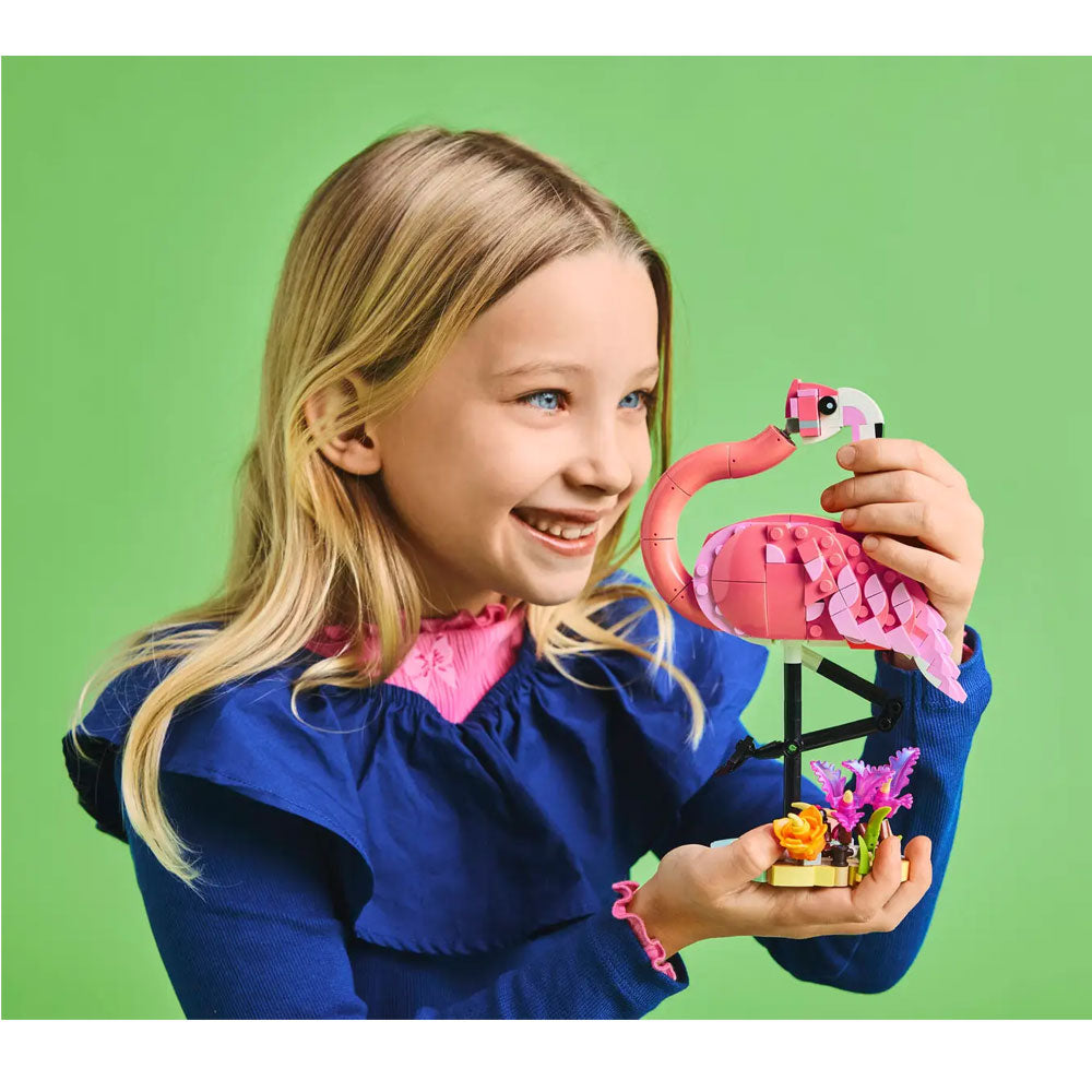 Wild Animals: Pink Flamingo – BrandsMart USA