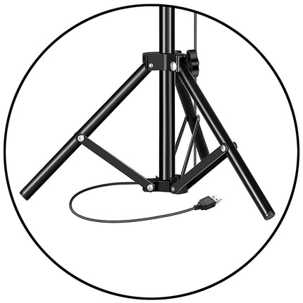 DetailedProductView1