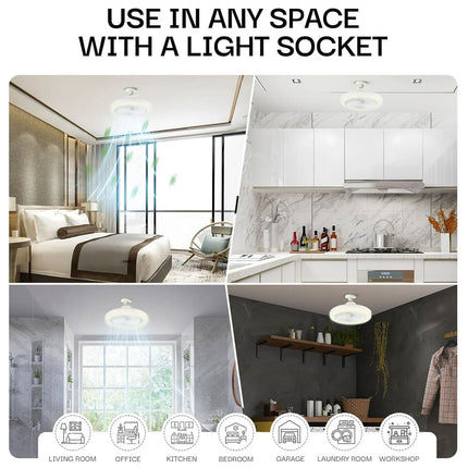 DetailedProductView5|860006b8-4527-47e6-b96b-ce74c1ecaf19