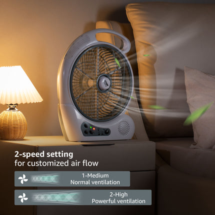 DetailedProductView2