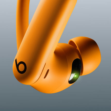 DetailedProductView2