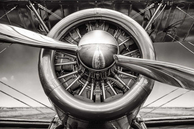 MainProductImage