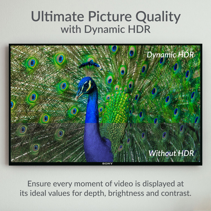 DetailedProductView3|d1d7dff8-4255-4d3c-8739-ce4e3383d3b2