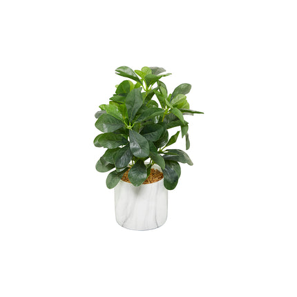 DetailedProductView1