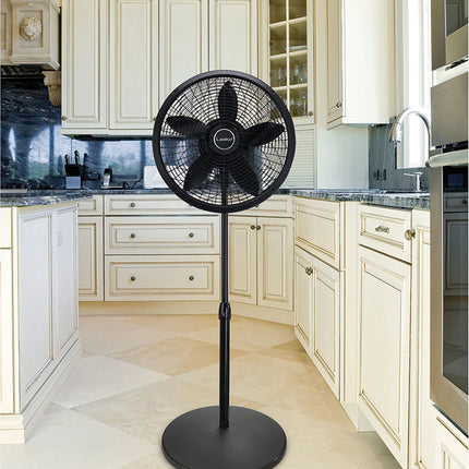 DetailedProductView5|e9ce208c-0661-4480-bdb0-e163eea03c39