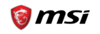MSI