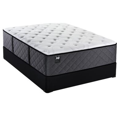 Sealy 52565451 Overlook Circle Firm Queen Mattress BrandsMart USA