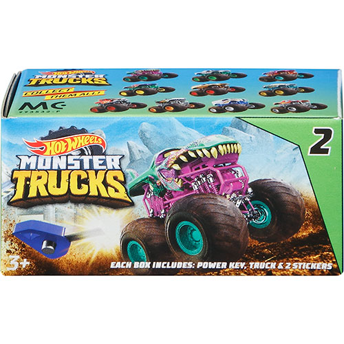 Hot Wheels Monster Trucks Mystery Blind Box (Styles May Vary