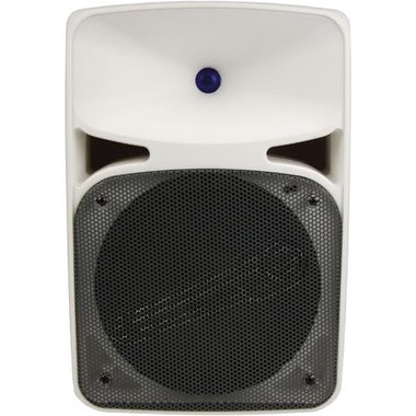 250 watt speaker price