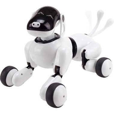 gizmo the robotic dog