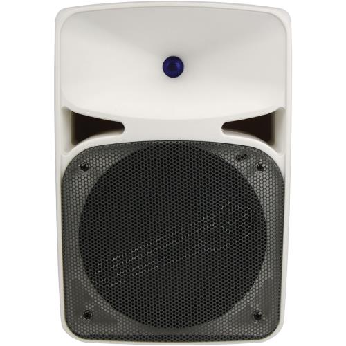 Audiopipe DJAPB890BWH 8\