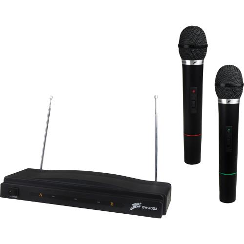 Professional Wireless Dual Microphone System Professional Wireless Dual Microphone System