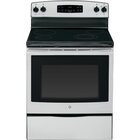 GE 5.3 CuFt Freestanding Rear Control Electric Range In Stainless Steel With Self-Clean Technology