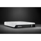 Image of product - ProAdapt Medium Queen Mattress