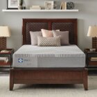 Sealy Medina Firm Gel Memory Foam Queen Bed In A Box