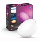 Philips Hue Go Portable Light