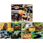 Image of product - 4-In-1 Wild 'N Crazy Animals Puzzles