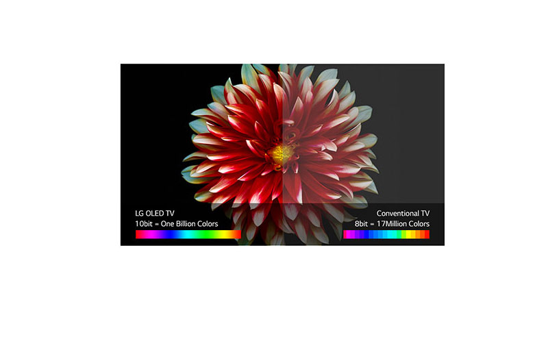 Experience LG OLED TV Experience LG OLED TV