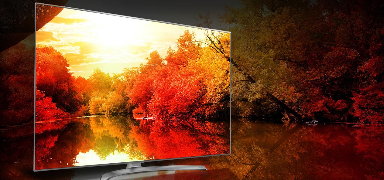 Lifelike Picture With Over A Billion Rich Colors Lifelike Picture With Over A Billion Rich Colors