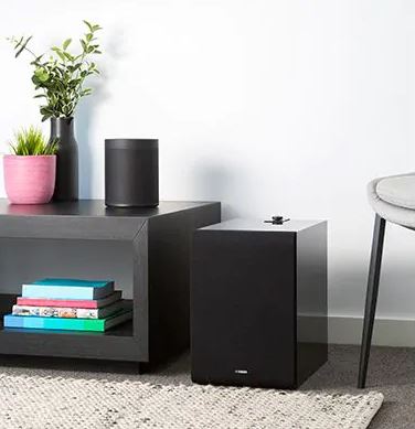 Yamaha Speakers