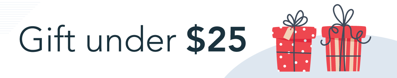 Gifts Less Than $25