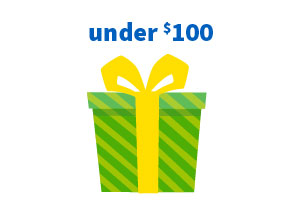 Gift Under $100