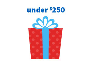 Gift Under $250