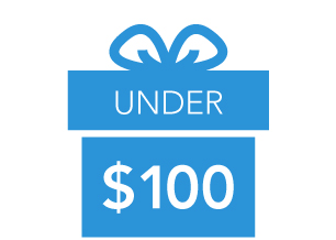 Gifts Under $100
