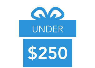 Gifts Under $250