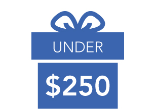 Gifts Under $250