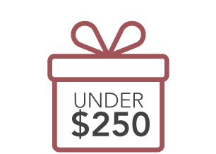 Gifts Under $250