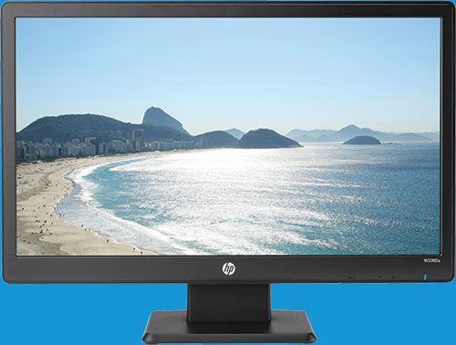 HP 20" Class 1600 x 900 LED TN Monitor
