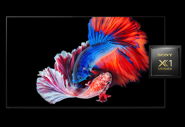 The processor that brings the best out of OLED's beauty