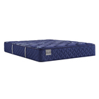 Sealy Reflexion Double Tight Top Medium Mattress - Blue