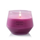 Yankee Candle 10-ounce Studio Collection Candle - Wild Orchid