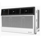 Friedrich 6000 BTU 11 EER Slide-out Chassis Window Air Conditioner
