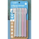 Xtreme Personal Care 5-Piece Eco Toothbrush Set