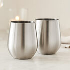 Holstein 2-Piece Stainless Steel Wine Glasses