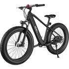 Hiboy 750W Powerful Motor Electric Bike for Adults