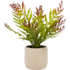UMA Home Decor Green Faux Foliage Fern Artificial Plant with Beige Ceramic Pot, 11" x 12" x 13"