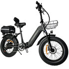 Delorean 750W 20 mph Sport Foldable Fat Tire E-Bike