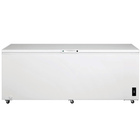 Frigidaire - FFFC09M1RW - 8.7 Cu. Ft. Chest Freezer