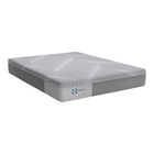 Sealy Medina Firm Gel Memory Foam Queen Bed In A Box