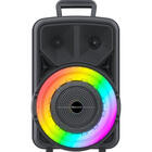 IQ Sound 8” Portable Bluetooth Speaker