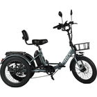 VESLA Folding Low-Step 500W E-Trike w/16MPH Speed & Accessories