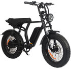 Memorex 20" Fat Tire Dual-Suspension Electric Bike
